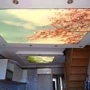 star-gergi-tavan91-200×200-180×180