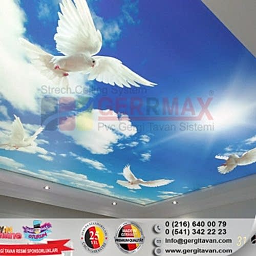 Dijital Baskı Gergi Tavan
