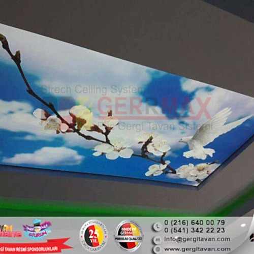 Dijital Baskı Gergi Tavan