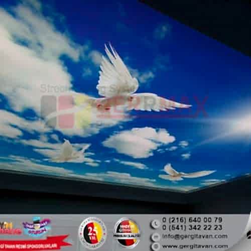 Dijital Baskı Gergi Tavan