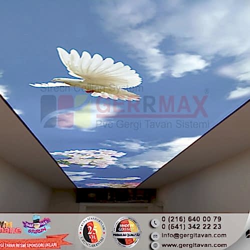 Dijital Baskı Gergi Tavan