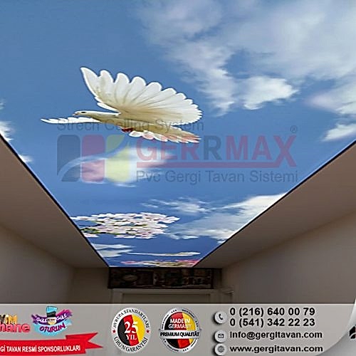 Dijital Baskı Gergi Tavan