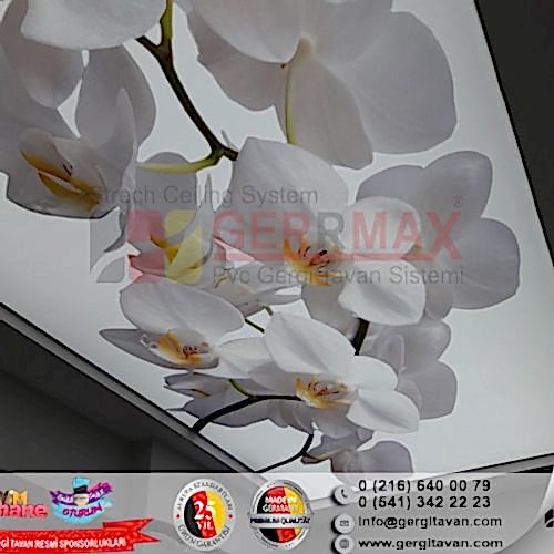 Dijital Baskı Gergi Tavan